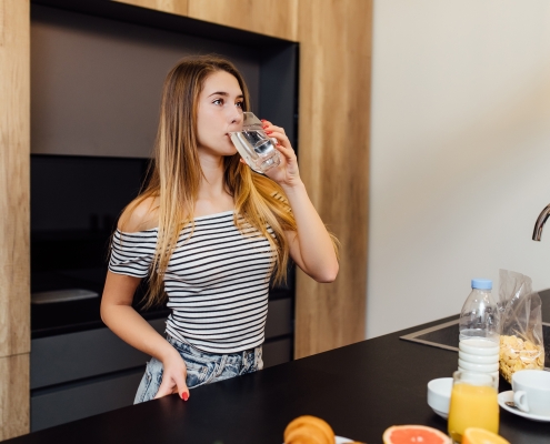 Whole Home Water Filtration System